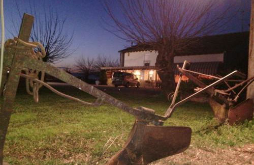 Agriturismo il Podere Vedelago con San Bernardo, Alpaca e una Pentola di cose da scoprire - Foto 47
