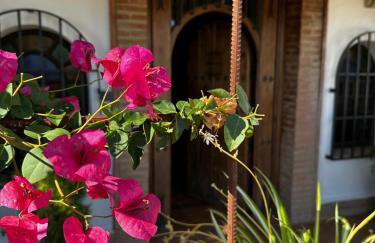 La chumbera - Foto 33