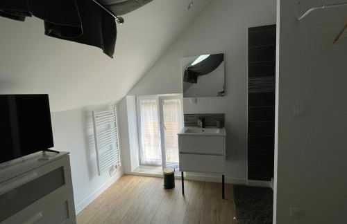 Gite le Magnolia entre Loire et châteaux - Foto 55