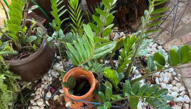 Bahia house - Foto 4