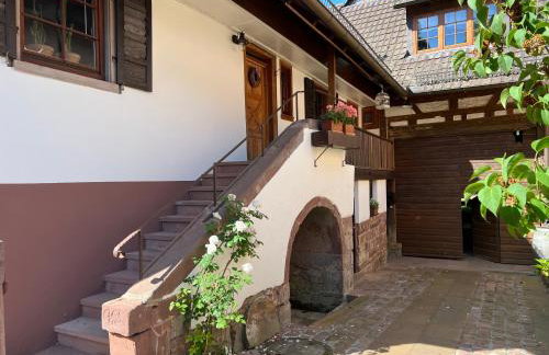 Ferienwohnung am Schlossgarten - Foto 2