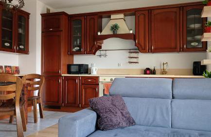 Apartament Kwiatowy klimatyzowany - Foto 6