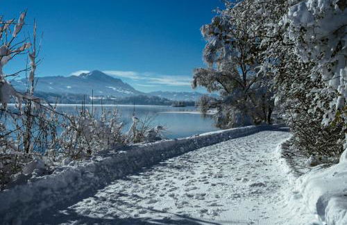 NEU FeWo Rottachblick - Foto 44