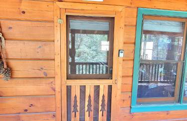 LUXURY CABIN WITH WATERVIEW AND PRIVACY, hiking - Photo 19