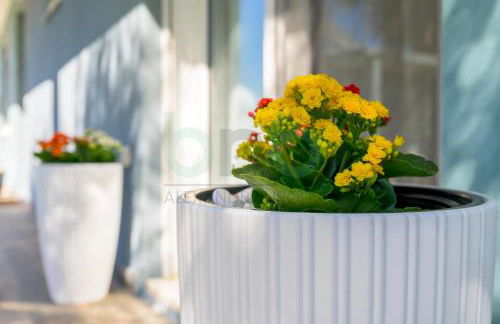 Dikella Beach 3 BDR Summer House - Foto 44