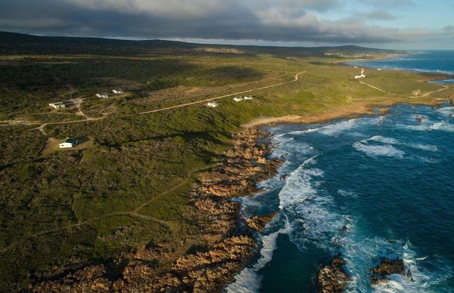 Gourikwa Reserve - Foto 38