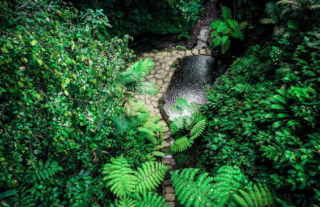 Sacred Canyon Reserve by Pramana Villas - Foto 15