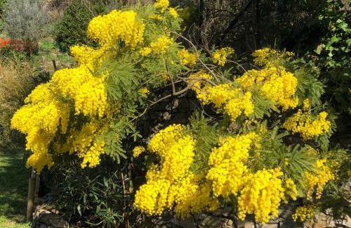 Villa CieloMare - Foto 37