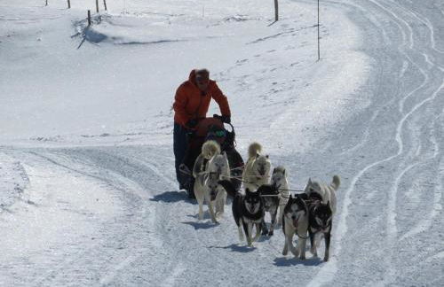 Résidence la Stellina - Foto 4