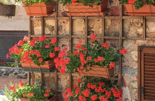 La Solatìa - Photo 51