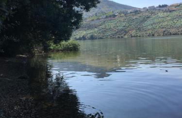 CreaConfort - Casa do Rio - Foto 118