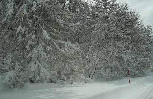 Casa Ludi Valdeon - Foto 17