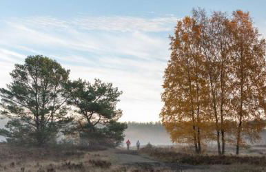 2Zi Apartment in Schloss Neuhaus mit Ladestation für Elektroautos - Foto 27