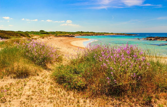 Complesso Azzurro 1 Near The Beach - Foto 23