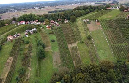 Winery & Rural Holiday Home Hren Hiža - Sveti Martin na Muri - Foto 26