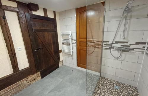 LE GRUON DU LAC - Foto 8