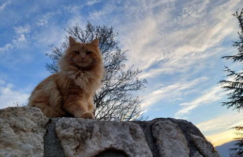 Agriturismo Tholos - Photo 80