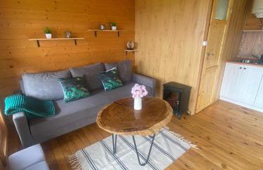 Domek letniskowy Radomice - Foto 10