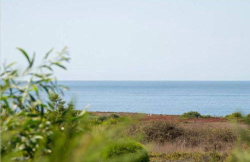 Casa RR - Foto 29