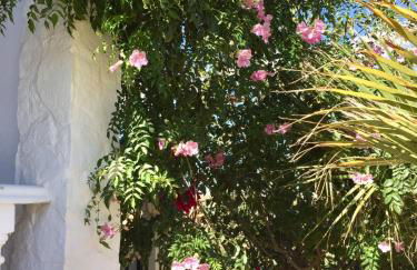 Private villa large pool elevated quiet secluded location, near Mojacar - Foto 37