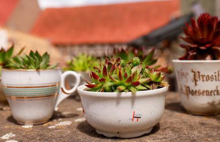 Biobauer Heubach - Foto 40