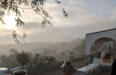 Finca Mamaflo - Foto 27