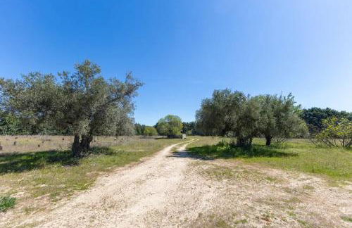 Finca el Palomar de la Viña - Foto 5