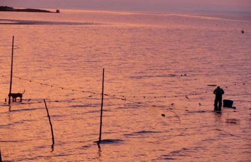 Pet-Friendly Cottage Rental with Stunning Decking on Delaware Bay, New Jersey - Foto 21