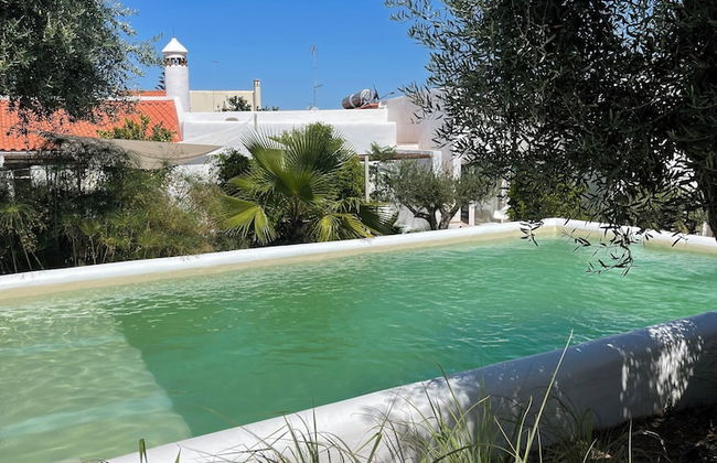 uma casa em entradas Guesthouse Alentejo - Foto 36