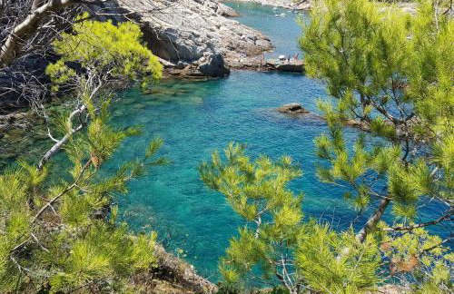 Mareva - Foto 23