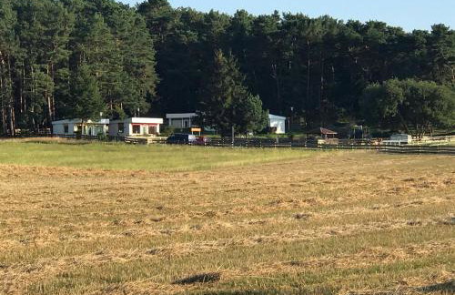 Bungalow Ückeritz - Foto 13