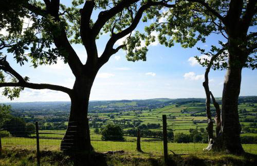 Coedmor Cottages - Foto 54