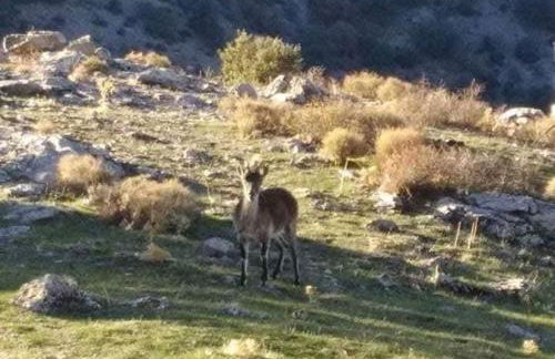 Alojamiento Turístico Mirador del Castillo - Foto 38