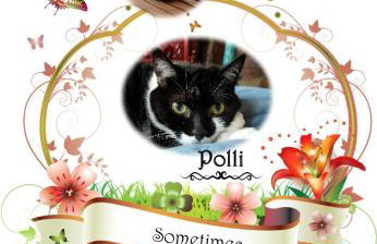 Town Cottage ground floor appartment - Foto 49