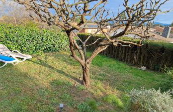 SUITE Bougainvillea - Foto 34