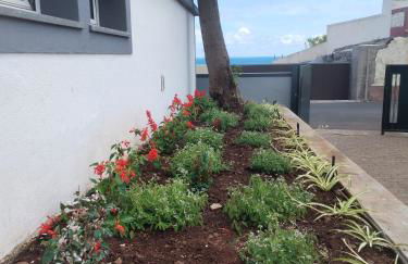 Avó Lucindinha House - Porto Moniz - Foto 46