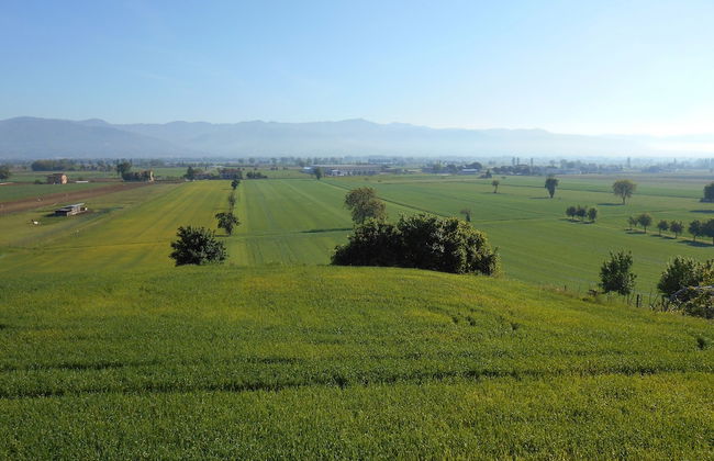 Agriturismo Podere Casenove - Photo 53