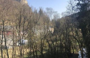 Ferienwohnung Haus Schöneck - Foto 11