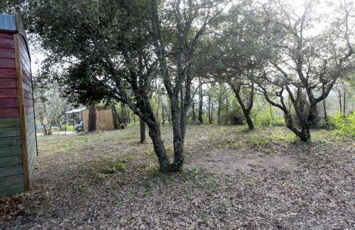 LUBERON DES ARTISTES 2 - Photo 23