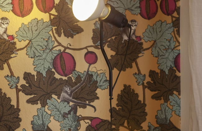 Ca' della Scimmia - Foto 47