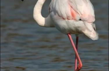 Studio mi casa es su casa - Photo 38