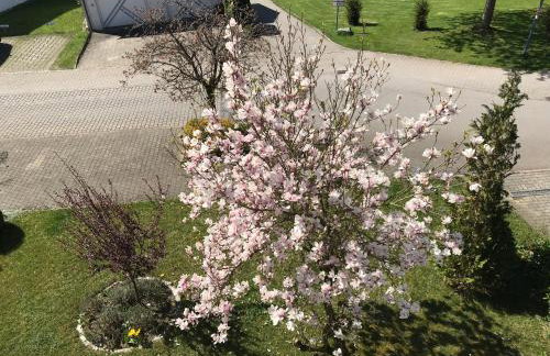 Residenz am Thermalbad - Photo 28