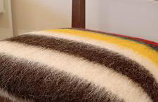 Golden Mountain, Nature House - Foto 19