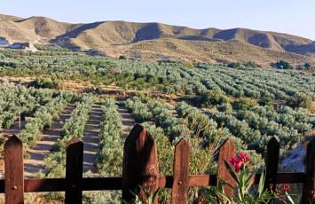 Cueva el Monteron - Foto 39