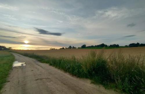 Widny Jaś zaprasza z psem nad jezioro na Kaszubach - Foto 39