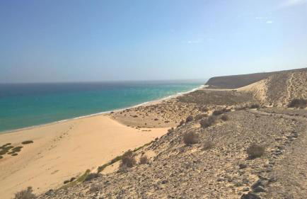 YOUR OCEAN EYES - Foto 33