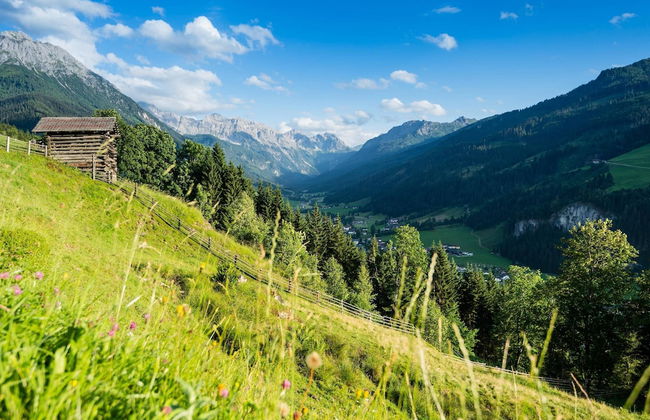 Apartment in Kleinarl Near Ski Slopes - Foto 34