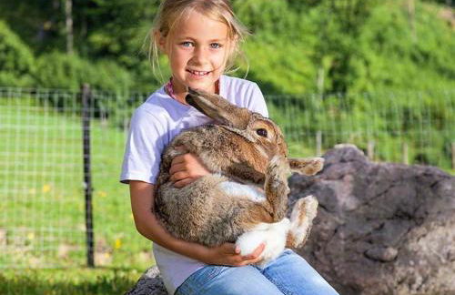 Bognerlehen Rupert Kurz - Foto 9