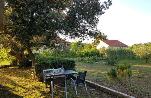 Apartment Brigitte - Foto 26