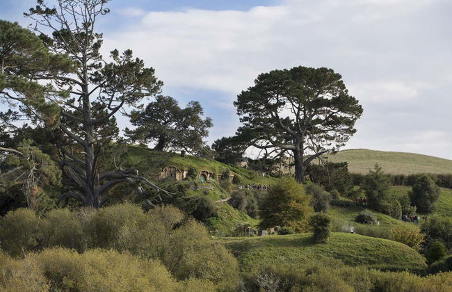 Excursion à Hobbiton - Photo 3